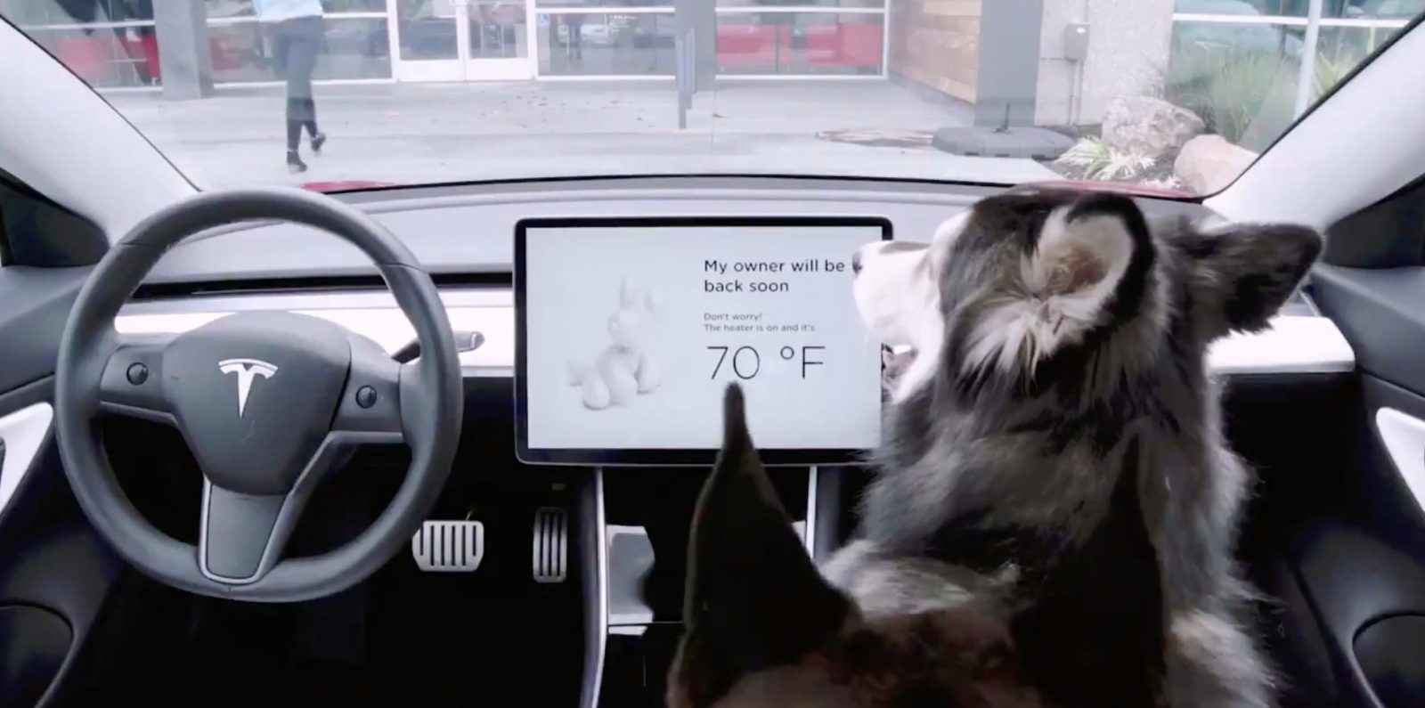 Tesla'dan Dört Ayaklı Dostlarımız için Yenilik: Köpek Modu