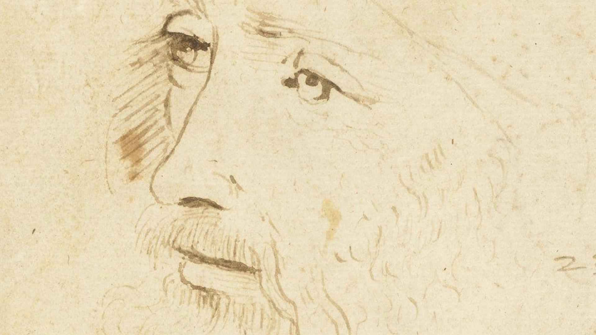 Da Vinci'nin Yeni Bir Portresi Keşfedildi