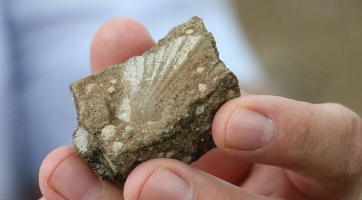 Fosiller Gerçeği Ortaya Çıkardı: Sivas Okyanus Kıyısındaydı
