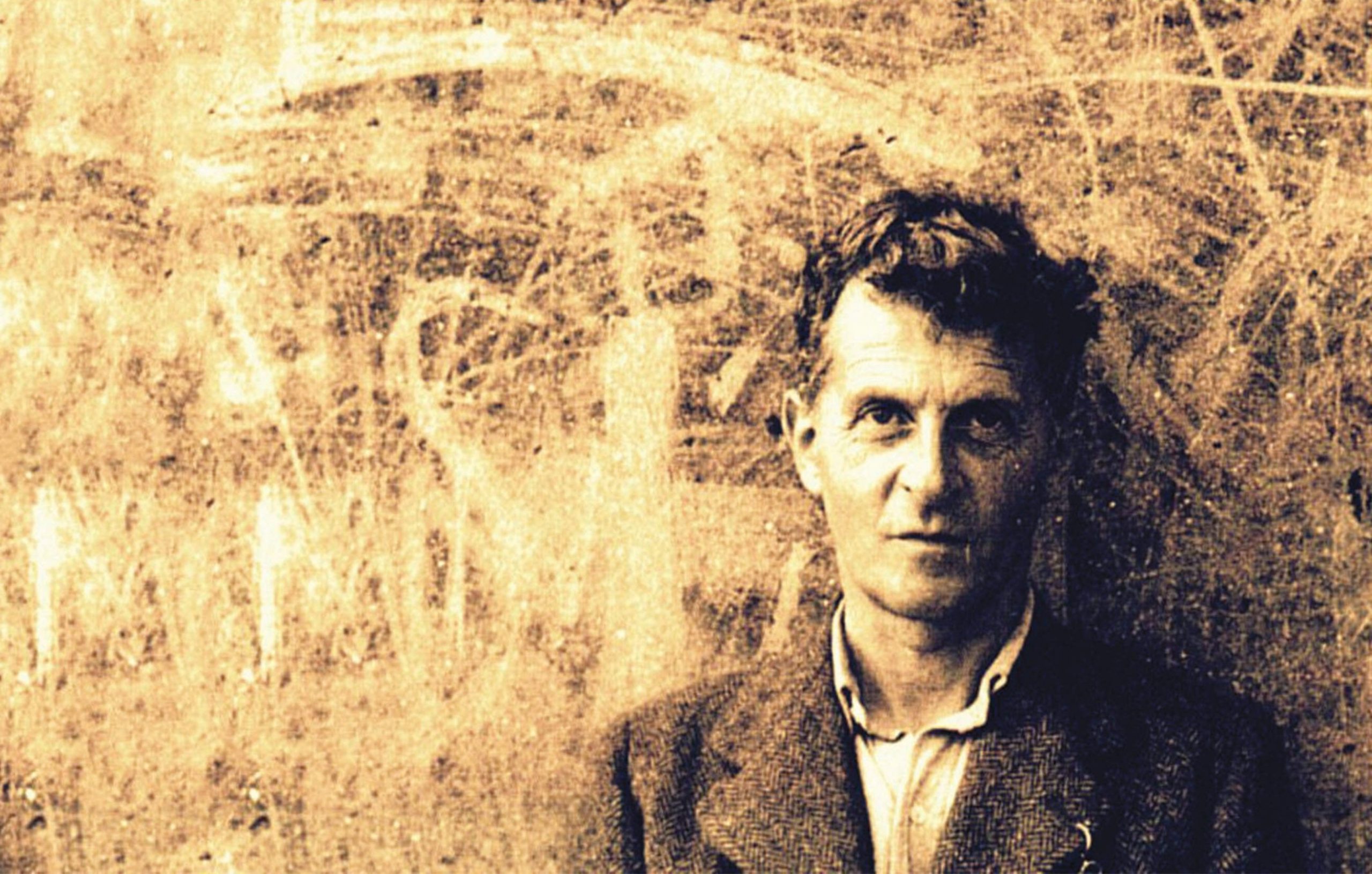Wittgenstein ve Sinek Metaforu
