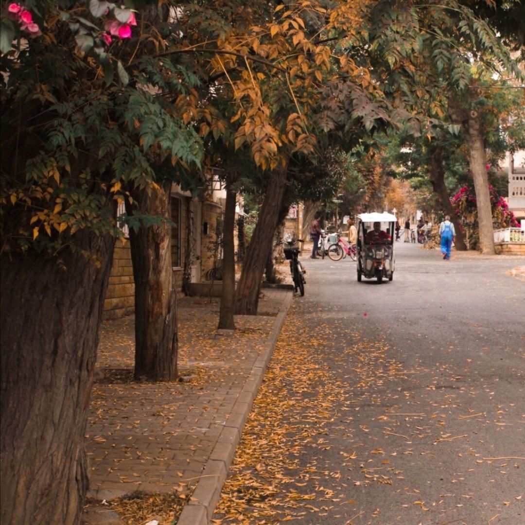 sonbaharda büyükada sokakları