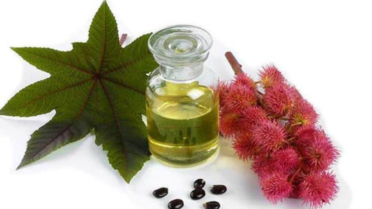 hint yağı nasıl kullanılır